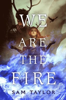 Sam Taylor - We Are the Fire, Inbunden