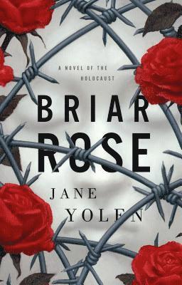 bokomslag Briar Rose