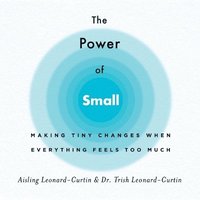 bokomslag The Power of Small