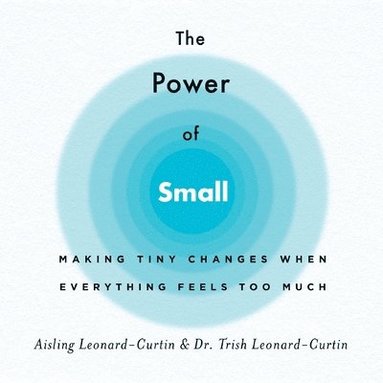 bokomslag The Power of Small
