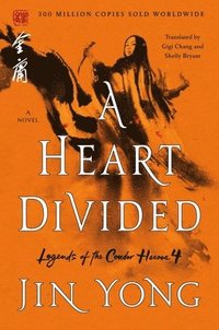 bokomslag Heart Divided