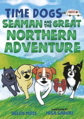 bokomslag Seaman And The Great Northern Adventure