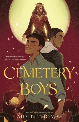 bokomslag Cemetery Boys