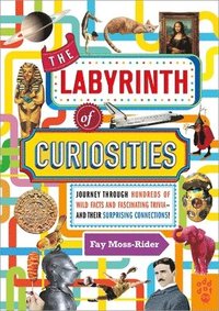 bokomslag The Labyrinth of Curiosities