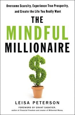 bokomslag Mindful Millionaire