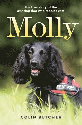 bokomslag Molly