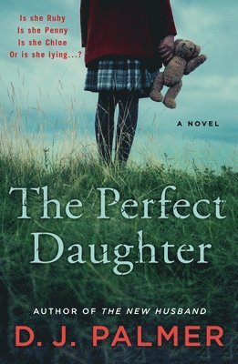 D. J. Palmer, D.J. Palmer - The Perfect Daughter, Häftad
