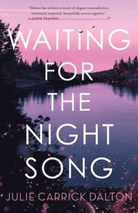 bokomslag Waiting For The Night Song
