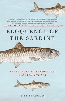 bokomslag Eloquence of the Sardine