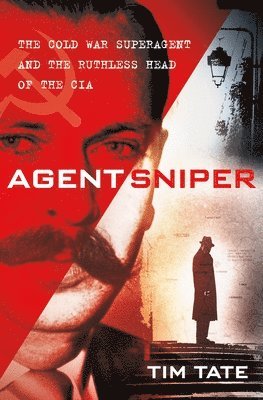 bokomslag Agent Sniper