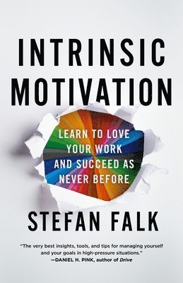 bokomslag Intrinsic Motivation