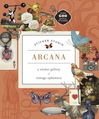 Chloe Standish - Sticker Studio: Arcana, Inbunden