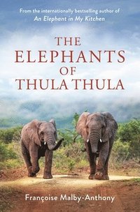 bokomslag Elephants Of Thula Thula