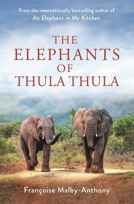 Elephants Of Thula Thula 1