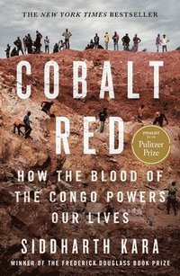 bokomslag Cobalt Red: How the Blood of the Congo Powers Our Lives