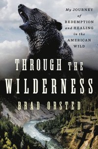 bokomslag Through the Wilderness