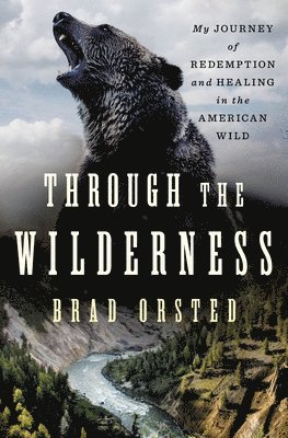 bokomslag Through the Wilderness