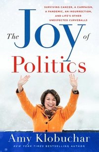 bokomslag Joy Of Politics