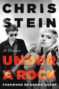 bokomslag Under a Rock: A Memoir