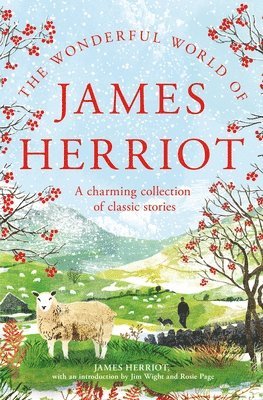 bokomslag The Wonderful World of James Herriot