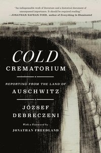 bokomslag Cold Crematorium