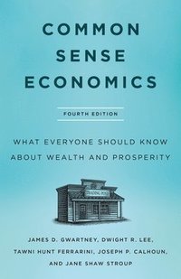 bokomslag Common Sense Economics