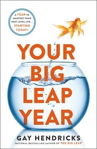 bokomslag Your Big Leap Year