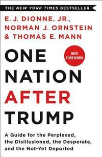 bokomslag One Nation After Trump: A Guide for the Perplexed, the Disillusioned, the Desperate, and the Not-Yet Deported
