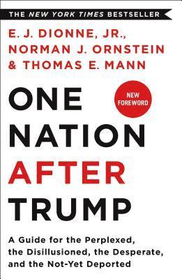 E. J. Dionne, Norman J. Ornstein, E.J. DIONNE - One Nation After Trump: A Guide for the Perplexed, the Disillusioned, the Desperate, and the Not-Yet Deported, Häftad