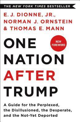 One Nation After Trump 1