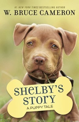 bokomslag Shelby's Story