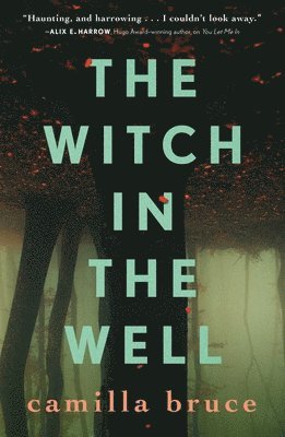 Camilla Bruce - The Witch in the Well, Häftad