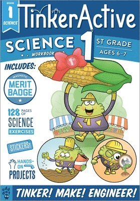 bokomslag TinkerActive Workbooks: 1st Grade Science