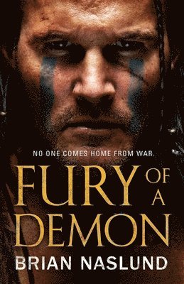 bokomslag Fury of a Demon