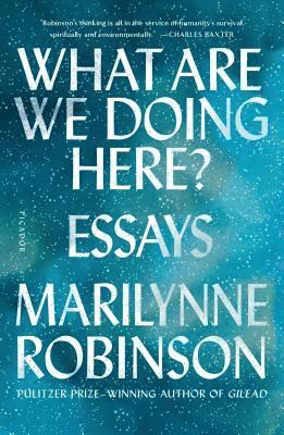 bokomslag What Are We Doing Here?: Essays