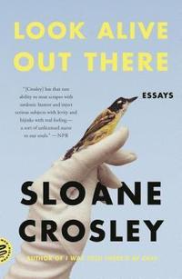 bokomslag Look Alive Out There: Essays
