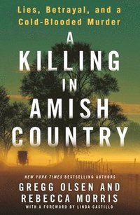 bokomslag A Killing in Amish Country
