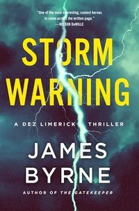 bokomslag Storm Warning: A Dez Limerick Thriller