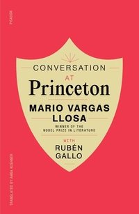 bokomslag Conversation At Princeton