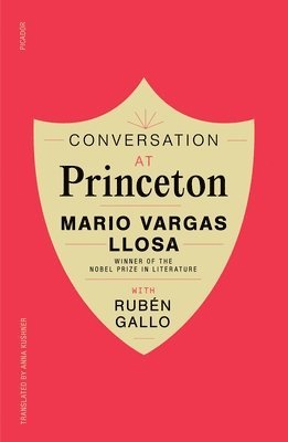 bokomslag Conversation At Princeton