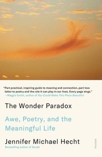 bokomslag The Wonder Paradox