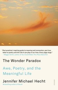 bokomslag Wonder Paradox