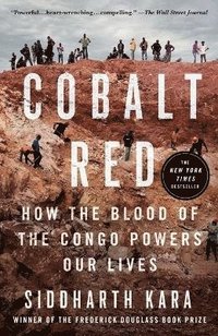 bokomslag Cobalt Red: How the Blood of the Congo Powers Our Lives