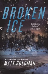 bokomslag Broken Ice
