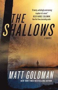 bokomslag The Shallows: A Nils Shapiro Novel