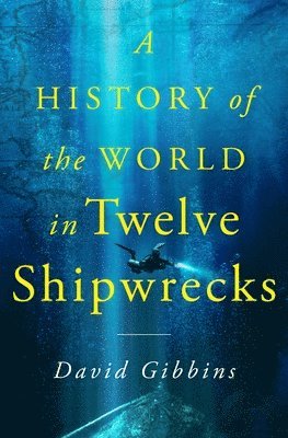 David Gibbins - A History of the World in Twelve Shipwrecks, Inbunden