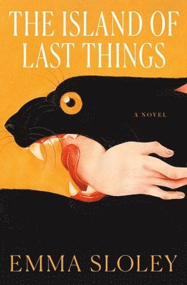 The Island of Last Things 1