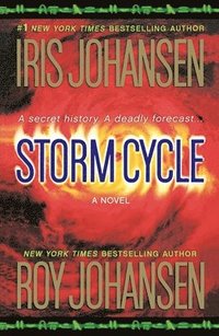 bokomslag Storm Cycle