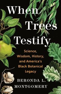 bokomslag When Trees Testify