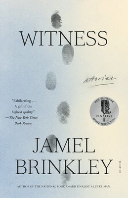Jamel Brinkley - Witness, Häftad